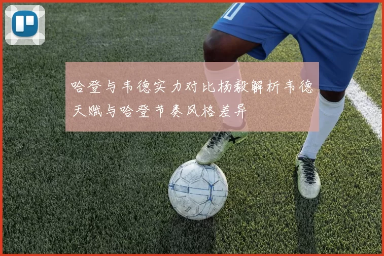 哈登与韦德实力对比杨毅解析韦德天赋与哈登节奏风格差异