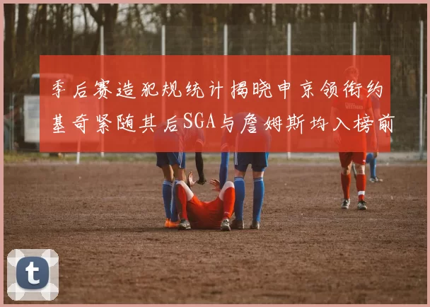季后赛造犯规统计揭晓申京领衔约基奇紧随其后SGA与詹姆斯均入榜前十
