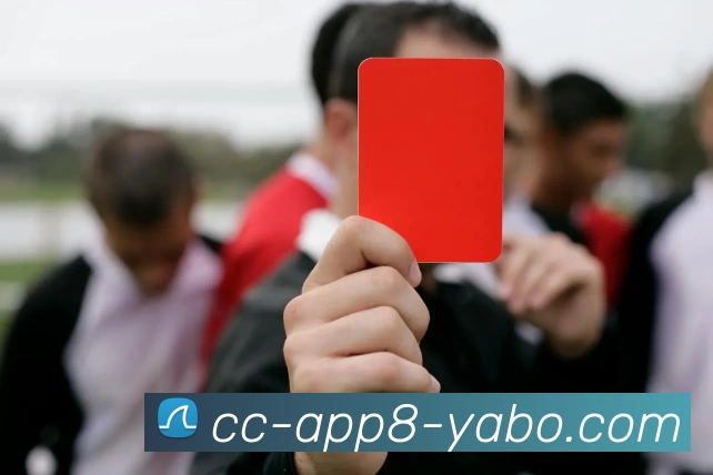 App 展示图